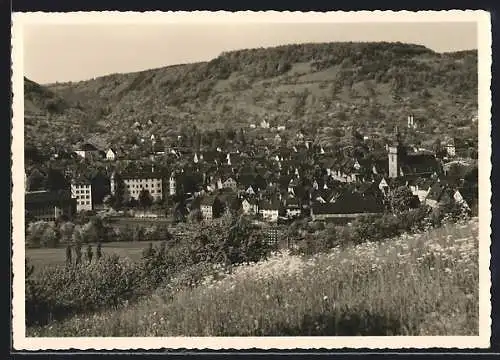 AK Künzelsau im Kochertal, Ansicht von der Wiese aus