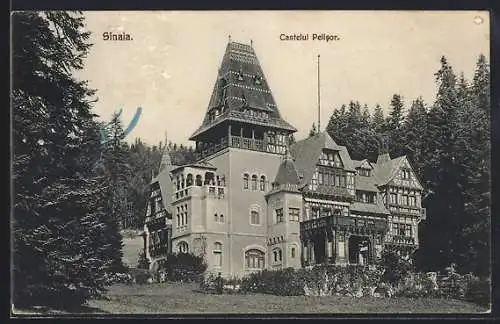 AK Sinaia, Castelul Pelisor