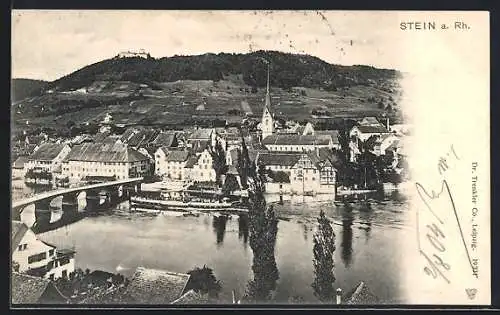 AK Stein a. Rhein, Totalansicht aus der Vogelschau