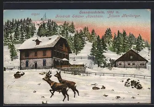 AK Sonnwendstein, Friedrich Schüler Alpenhaus im Winter