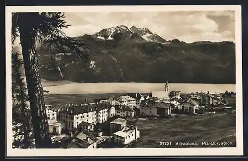 AK Silvaplana, Teilansicht von einer Anhöhe aus mit dem Piz Corvatsch