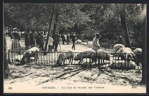 AK Bourges, Un Coin du Marché aux Cochons