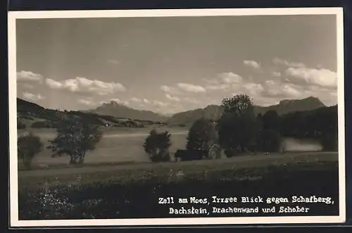 AK Zell am Moos, Irrsee mit Blick gegen Schafberg, Dachstein, Drachenwand und Schober