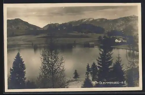 AK Gleinkersee /O. Ö., Panorama mit Bäumen