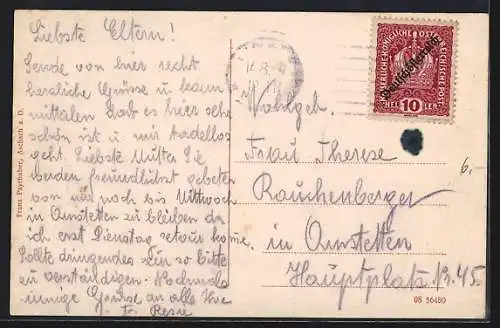 AK Aschach a. Donau, Teilansicht mit Bäumen