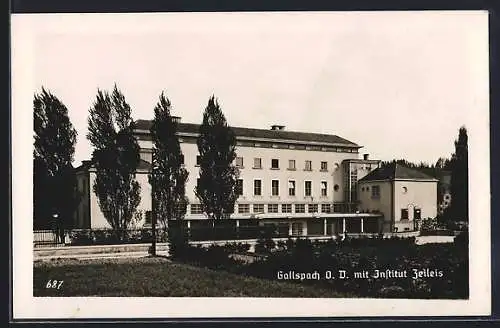 AK Gallspach /O. D., Strassenpartie mit Institut Zeileis