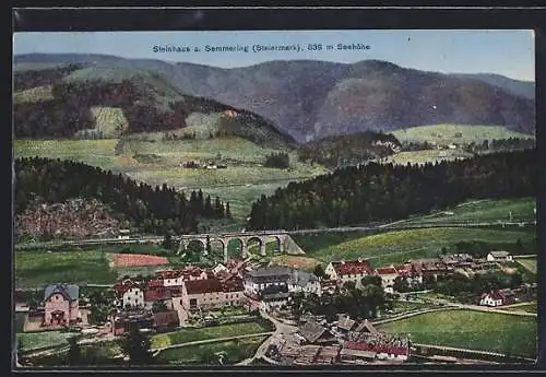 AK Steinhaus a. Semmering, Teilansicht mit Viadukt