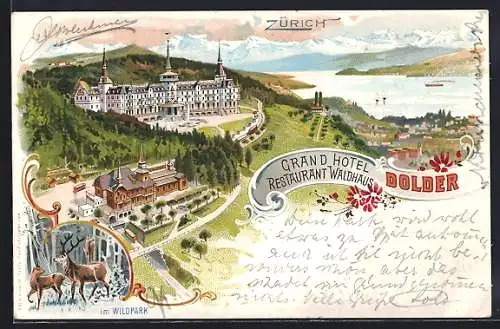 Lithographie Zürich, Grand Hotel Restaurant Waldhaus, Hirsche im Wildpark, Ortsansicht