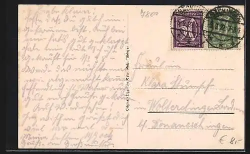 AK Bad Säckingen, Blick von der Rheinbrücke