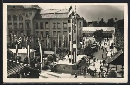 AK Dornbirn, Export- und Mustermesse, Messegelände aus der Vogelschau