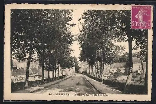 AK Mamers, Boulevard Victor-Hugo avec arbres alignés