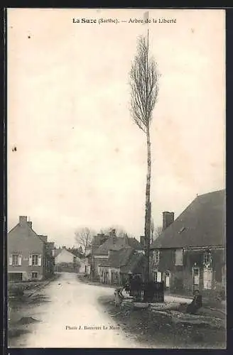 AK La Suze, Arbre de la Liberté