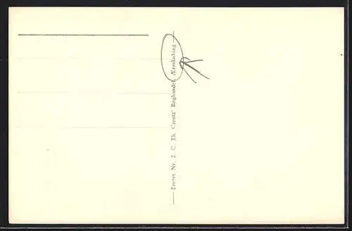 AK Aeroskobing, Vestergade