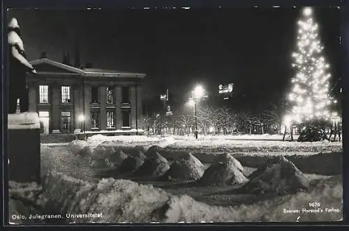 AK Oslo, Julegranen, Universitetet