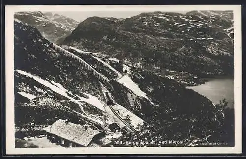 AK Norwegen, Bergensbanen, Ved Myrdal