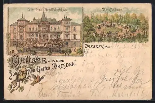 Lithographie Dresden, Zoologischer Garten, Konzert- und Gesellschaftshaus, Reitwiese