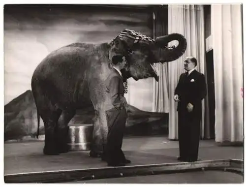 Fotografie Schostal, Ansicht Wien, Zirkus Sarrasani, Dompteur mit Elefant