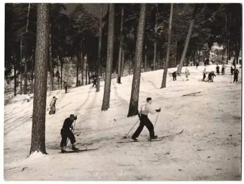 Fotografie Schostal, Ansicht Berlin-Grunewald, Wintersport Hochbetrieb 1938