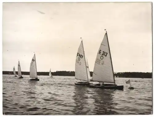 Fotografie Atlantic, Ansicht Berlin-Tegel, Segelboote bei der ersten HJ-Segelregatta auf dem Tegeler See 1938