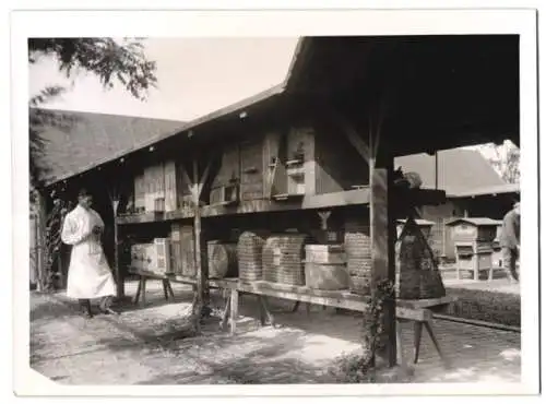 Fotografie Atlantic, Ansicht Berlin-Dahlem, Institut für Bienenkunde, Imker inspiziert Bienenvölker 1943