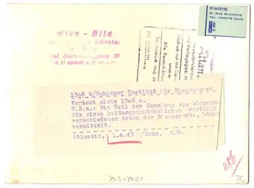 Fotografie Atlantic, Ansicht Berlin-Dahlem, Institut für Bienenkunde, Imker inspiziert Bienenvölker 1943