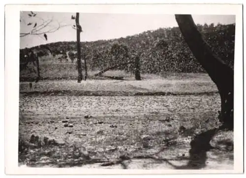 Fotografie Atlantic, Heuschreckenplage, fliegende Heuschrecken in einem Schwarm 1940