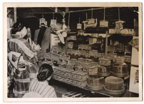 Fotografie Schostal, Ansicht Tokio - Tokyo / Japan, Japaner kaufen Insekten in kleinen Käfigen 1939