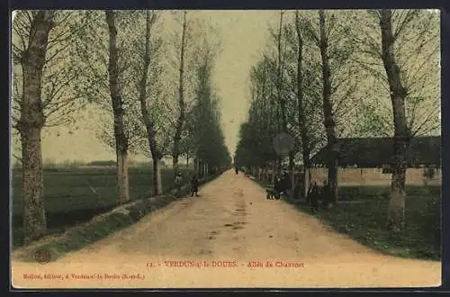 AK Verdun-sur-le-Doubs, Allee du Chauvort