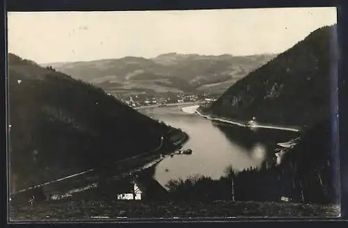 AK Grein a. d. Donau, Panorama mit Donaupartie