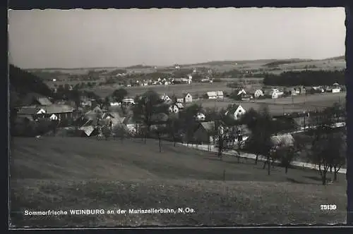 AK Weinburg an der Mariazellerbahn, Ortsansicht aus der Vogelschau