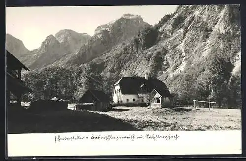 AK Hinterstoder, Baumschlagerreith mit Salzsteinjoch