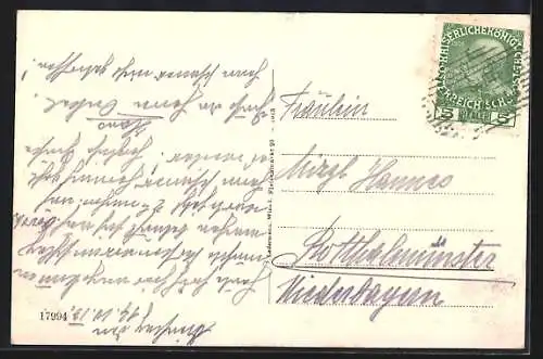 AK Kapfenberg /Steiermark, Ortsansicht mit Böhlerwerken