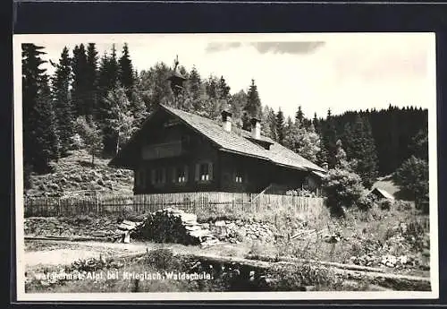 AK Alpl bei Krieglach, Waldheimat, Waldschule