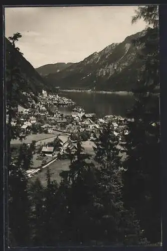 AK Hallstatt von der Lahn, Ortsansicht mit Bergpanorama