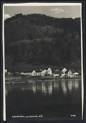 AK Obermühl a. d. Donau, Ortsansicht mit Flusspartie