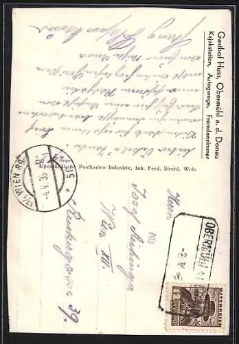 AK Obermühl a. d. Donau, Ortsansicht mit Flusspartie