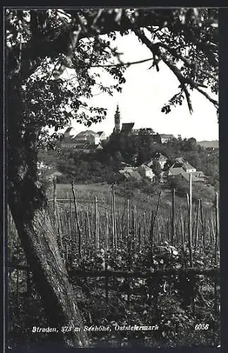 AK Straden /Oststeiermark, Ansicht vom Weinberg aus