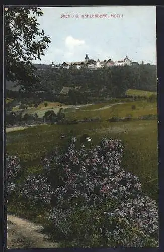 AK Kahlenberg /Wien, Motiv mit Feldern