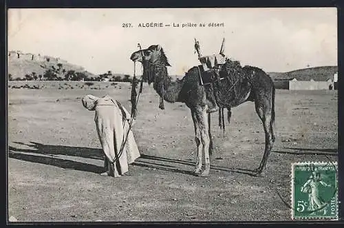 AK Algérie, La prière au désert, Araber im Gebet, Kamel