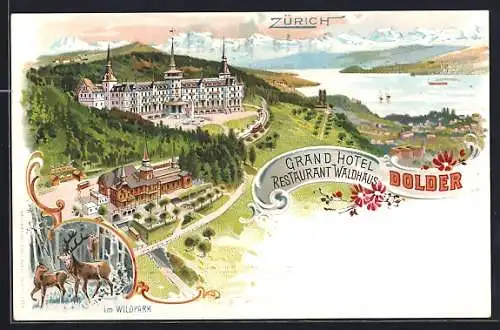 Lithographie Zürich, Grand Hotel Restaurant Waldhaus, Im Wildpark