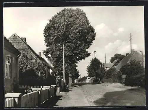 AK Hohen Viecheln /Wismar, Blick in die Dorfstrasse