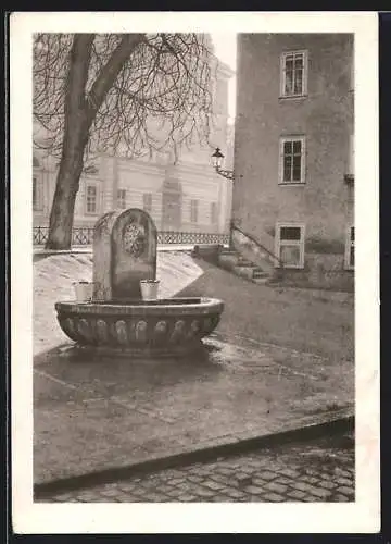 AK Weimar / Thüringen, Partie am Schlossbrunnen