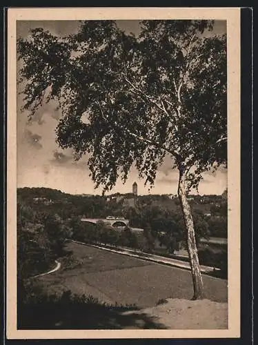 AK Halle /Saale, Burg Giebichenstein mit Cröllwitzer Brücke