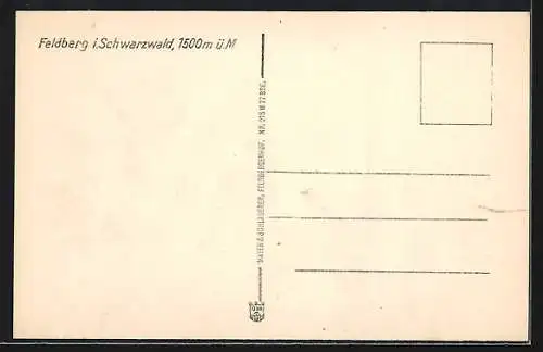 AK Feldberg i. Schwarzwald, Hotel Feldbergerhof