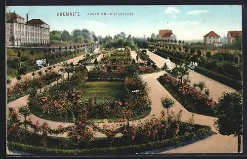 AK Chemnitz, Rosarium im Stadtpark, Panorama