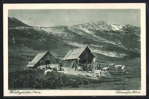 AK Windberghütten, Kühe auf der Schneealpe