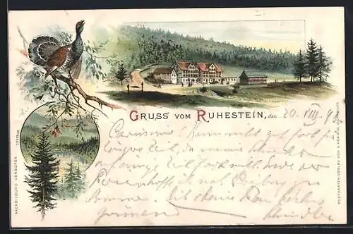 Lithographie Ruhestein, Hausansicht, Wildsee, Auerhahn