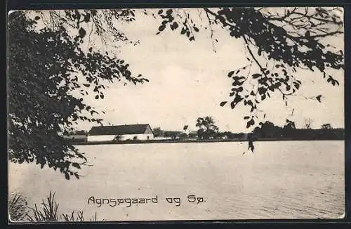 AK Agnsogaard og So, Panorama