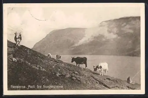 AK Foeroerne, Partie fra Norderoerne