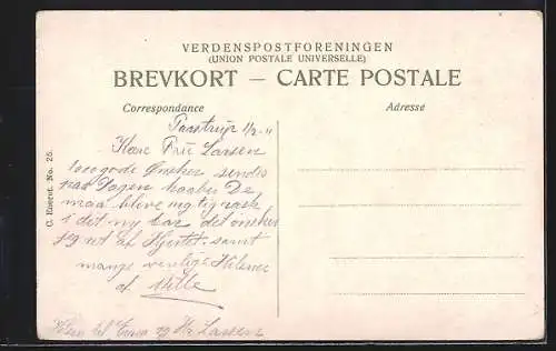 AK Frijsenborg /Jylland, Blick zum Schloss